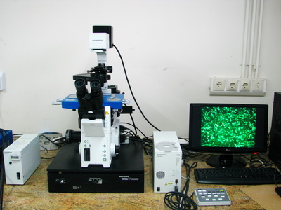 Fluorescence Microscope 