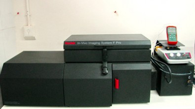 Small Animal Imaging System
